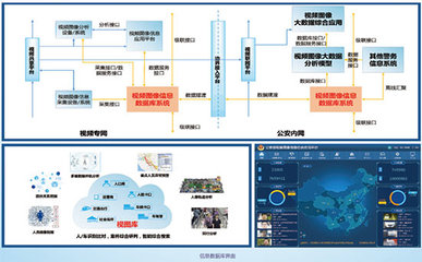 公安视频图像信息数据库
