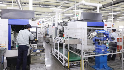 参考消息特稿 外企深耕中国向 新 而行