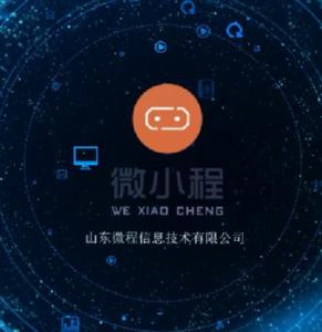 山东微程信息技术
