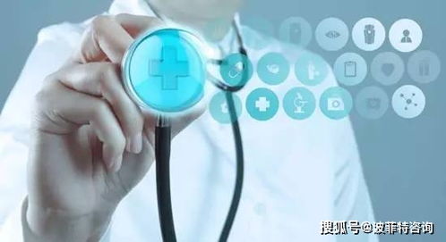 第二类医疗器械及其在信息技术领域的分类概述